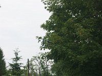 DSC03853