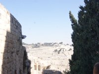 DSC05559