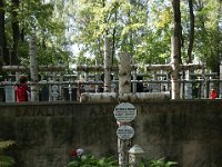 DSC04564