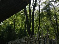 DSC04567